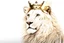 Placeholder: White lion with kings crown on his head . Side view