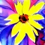 Placeholder: water color flower painting