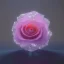 Placeholder: Crystal Rose