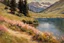 Placeholder: Mountains, lake, flowers, pathway, pine trees, sunny day, theodore robinson impressionism painting