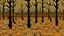 Placeholder: orawinditionalatterns