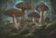 Placeholder: prompt 26: Enchanted forest mushrooms::1 luminous caps, mystical glen, fairy realm, macro fantasy, nature::0.9 magical, mushrooms, forest, enchanting, fantasy::0.7-ar 16:9 --v 5.2 --s 250