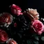 Placeholder: Caravaggio lighting, Flowers, black roses, nature, color palette, black and soft pink, background, roses, caravaggio lighting