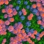 Placeholder: microphotography top-down view of flower, high definition, detail, HD, 8k, realistic, 3d rendering, blender, photography, fisheye, bulge, tilt shift blur, microbiology, intricate, blues, reds, yellows, greens, pinks, purples, oranges, indigos