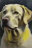 Placeholder: Portrait of a yellow Labrador in the style of mark adlington, rough chalk, pastel