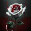 Placeholder: A white rose bleeding red blood from its stem