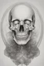 Placeholder: human skull, forward facing, centered, in louis viton style