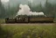 Placeholder: STEAM TRAIN WESTERNFOREST