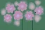 Placeholder: Abstract flowers