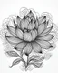 Placeholder: realistic lotus flower idea, line art, background, vector, svg, black outline on white background, leave plenty of white space beetween lines for coloring, tattoo style, tattoo idea,full body, minimalist