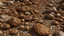 Placeholder: A brown rocky plain with stones designed in medieval tapestry