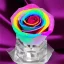 Placeholder: transparent multicolor crystal rose