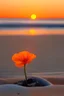 Placeholder: single orange flower on the beach at sunset