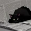 Placeholder: Gato negro durmiendo junto a un diario