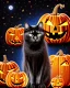 Placeholder: black cat on Halloween dancing with pumpkins in the photo of the starry sky