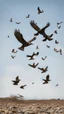 Placeholder: Birds carrying stones in their legs, flying in a clear sky