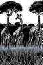 Placeholder: A black outlined picture of giraffs grazing on grass