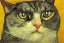 Placeholder: Portrait of a cat by Van Gogh