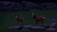 Placeholder: deer in forest next to rocks and grass fields