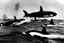 Placeholder: An orca army pod fighting in WW2