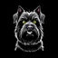 Placeholder: an angry scruffy black terrier on black background, yellow eyes, defined teeth, illustration