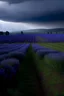 Placeholder: campo con plantación de lavandas en una montaña bajo la lluvia, iluminación total