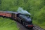 Placeholder: STEAM TRAIN WESTERNFOREST