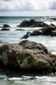 Placeholder: A bird stands on sea rocks on the shore of a remote island