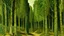 Placeholder: An olive green forest with acorn trees painted by Vincent van Gogh