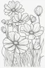 Placeholder: flowers coloring page for kids, cosmos, cartoon style, thick outline, low details, no shading, no color