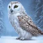 Placeholder: snow OWL