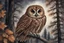 Placeholder: Brown Tawny Owl, pine tree, forest, autumn, dark night highly detailed intricate intricate details high definition crisp quality beautiful lighting pencil sketch watercolor dramatic lighting Deep shadows Warm colors warm light