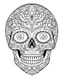 Placeholder: Kandy skull, "Intricate Calavera Designs", full view, realistic face, coloring page, only draw lines, coloring book, clean line art, –no sketch, color, –ar 3:4, white background, minimalistic black lines, minimal black color, low level black colors, coloring page, avoid thick black colors, thin black line art, avoid colors, perfect shape, perfect clear lines,