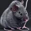 Placeholder: All Black Field mouse, cartoon, dark, high definition, ultra 8 k,