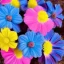 Placeholder: pink and blue flowers with yellow polio realist