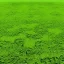 Placeholder: Repeating ground texture, ground texture, seamless, grass