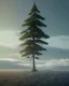 Placeholder: Pine tree with a tall hat above the cloud