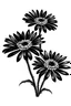 Placeholder: natural black small 2 daisy flower VECTOR illustration with details white background