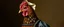 Placeholder: amish hen dressed in amish outfit, painted with oil paint by rembrandt