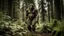 Placeholder: sasquatch in the forest