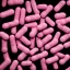 Placeholder: pink pills