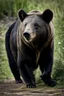 Placeholder: Bear and boar and rabbit hybrid animal, black, photograph