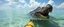 Placeholder: prehistoric ogre in kayak