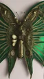 Placeholder: metal steampunk green moth wings