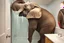 Placeholder: surreal photograph of a massive elephant uncomfortably contorted in a small stand-up shower in a suburban bathroom, elephant is too big and has to hunch over his head touching the ceiling and his bulk pushed up uncomfortably against the shower glass door