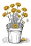 Placeholder: outline art for marigold flowers in a bucket on a rough ground, white background, Sketch style, full body, only use outline, toddlers style, clean line art, white background, no shadows and clear and well outlined.