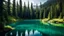 Placeholder: imagine being next to a small crystal clear no colored water lake with visible depth in the middle of a lucious beautiful fir Forrest