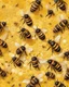 Placeholder: gentle background with bees, honeycombs in the background, bees on hives on a yellow field