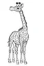 Placeholder: coloring page for kids, full giraffe, cartoon style, thick outline, low details, no shading, no color