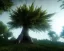 Placeholder: The last tree on the planet,ultra graphics, RTX, TXXA, SSAO, High quality,hyperrealistic, Super detailed, HDR,4k